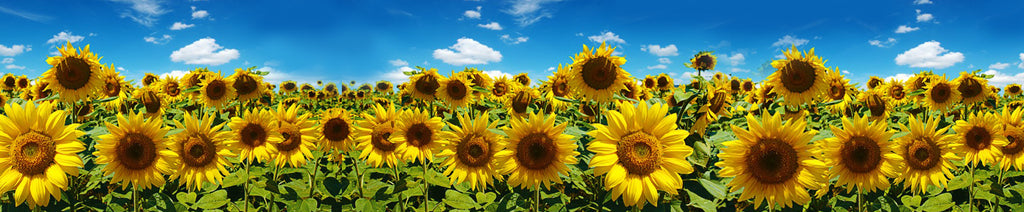 Re-affirming Affirmations