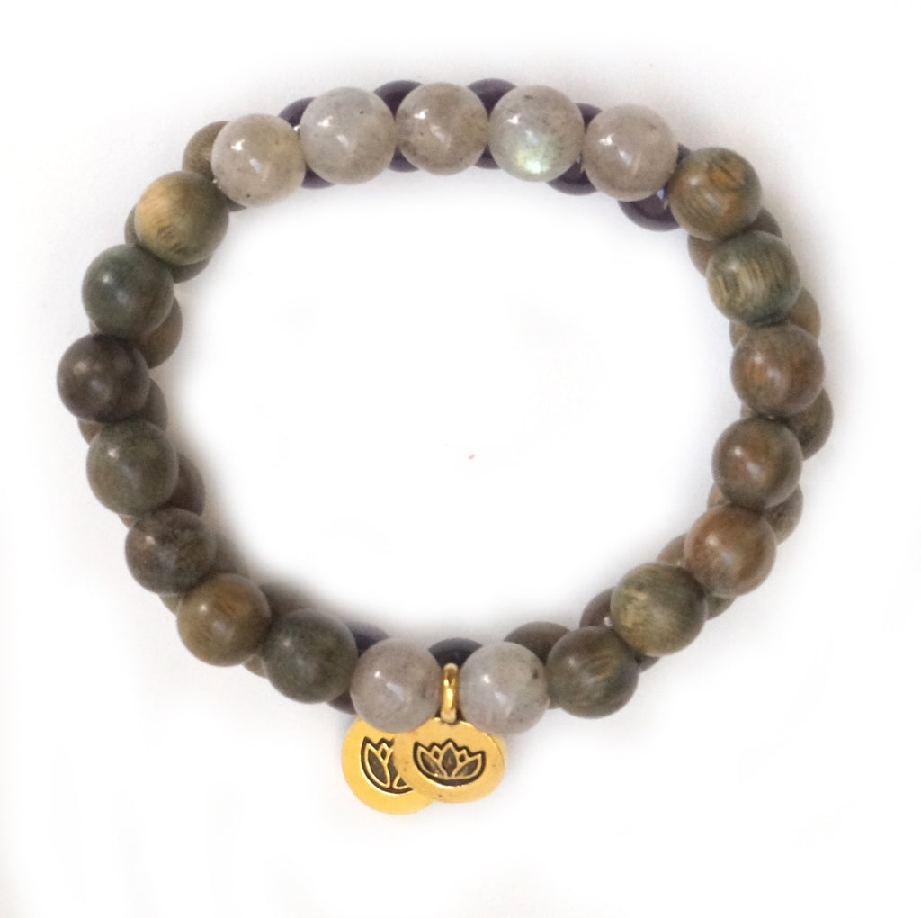 Find My Path Stack - Pranachic