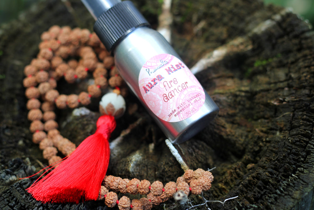 Fire Dancer:  Steamy - Sexy - Unleashed - Pranachic