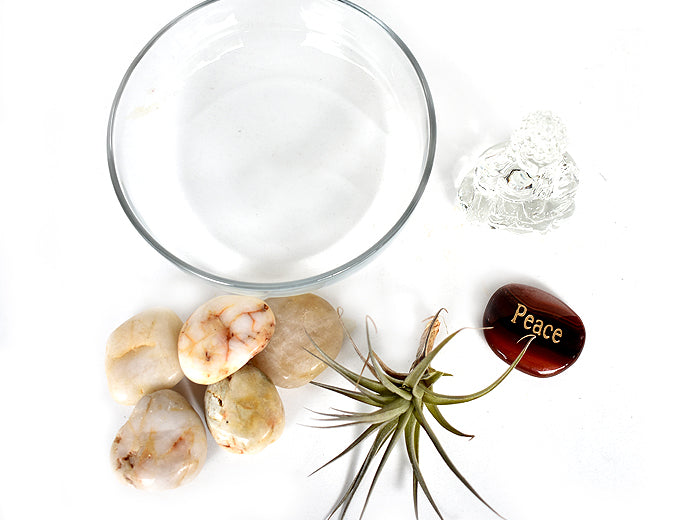 Zen Desk Terrarium - Peace - Pranachic