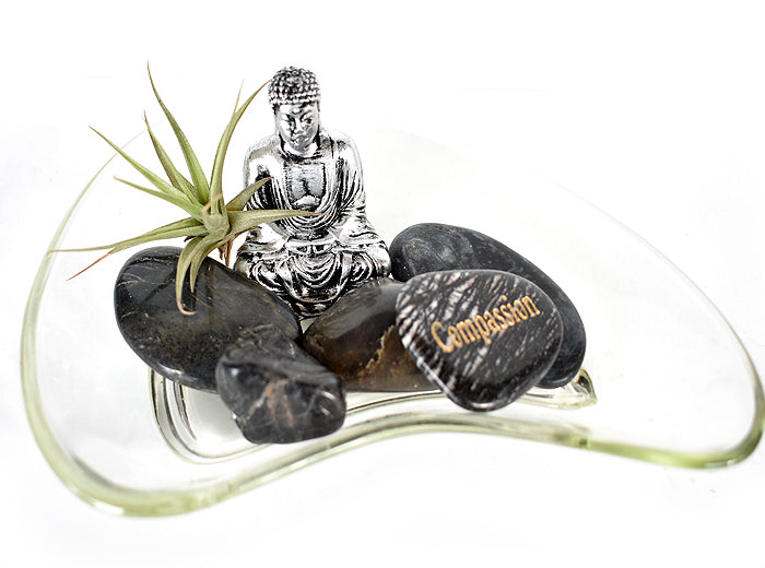 Zen Desk Terrarium - Compassion (black) - Pranachic