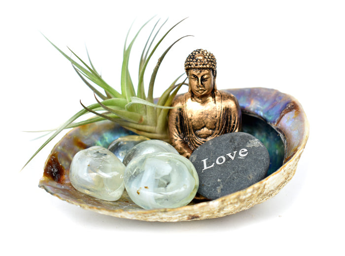 Zen Desk Terrarium - Love - Pranachic