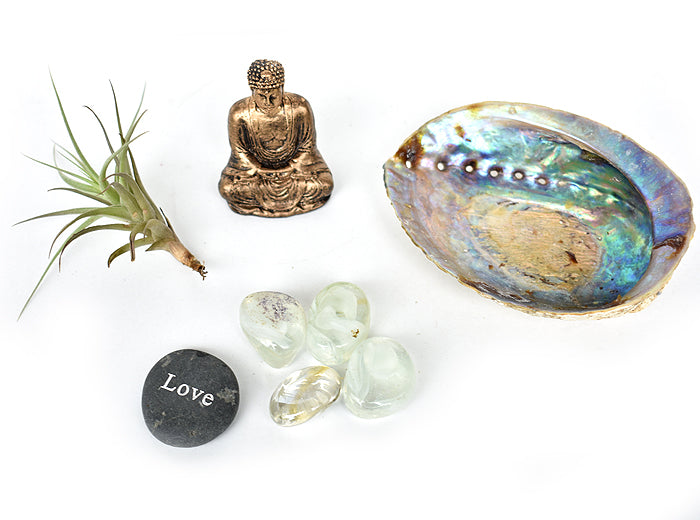 Zen Desk Terrarium - Love - Pranachic