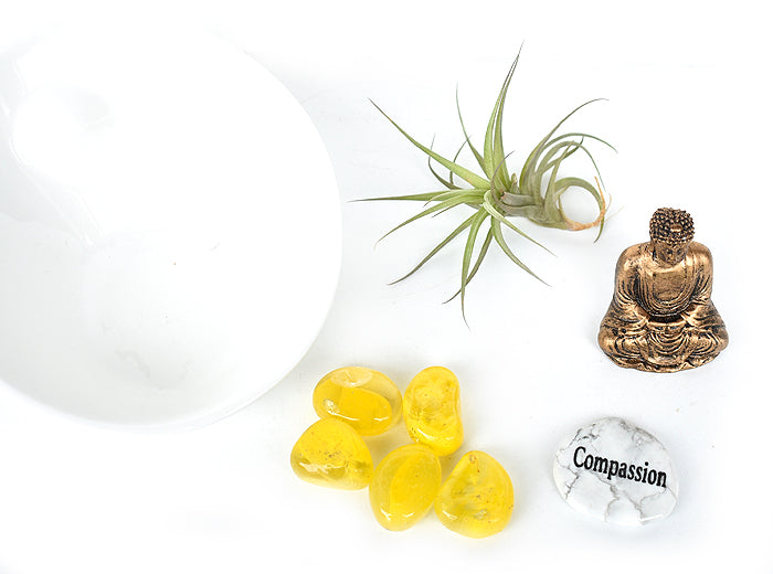 Zen Desk Terrarium - Compassion (white) - Pranachic
