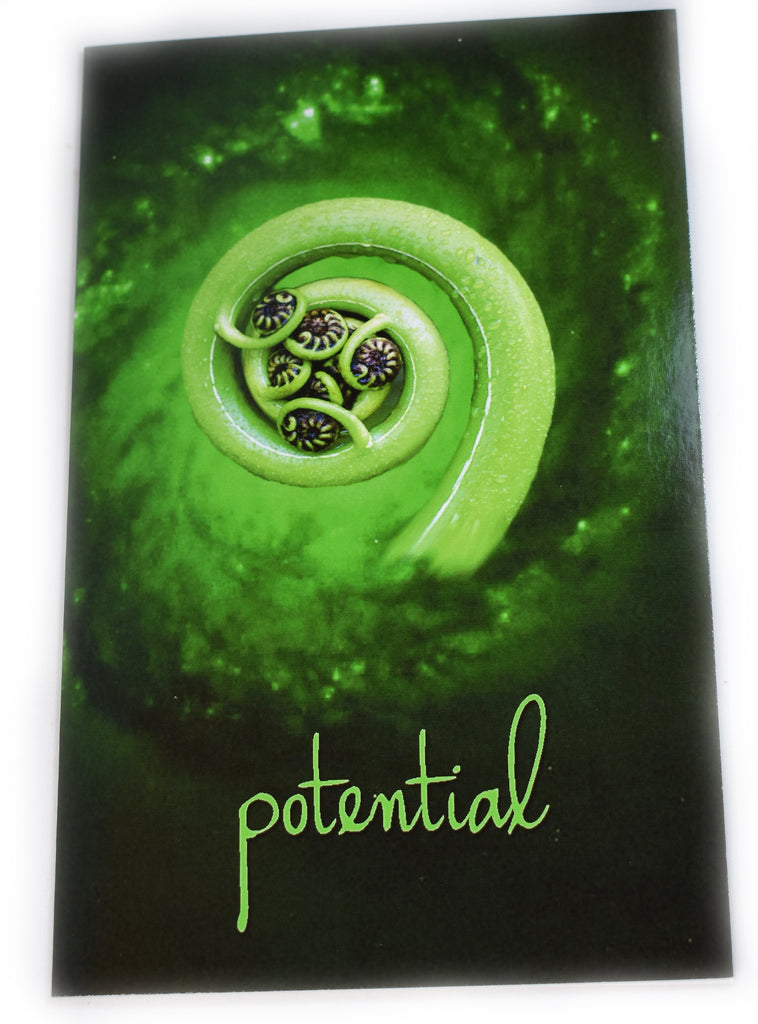 Potential Card - Pranachic