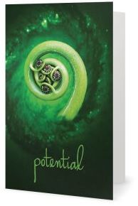 Potential Card - Pranachic