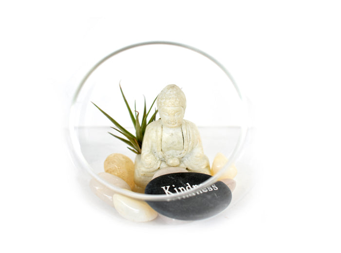Zen Desk Terrarium - Kindness - Pranachic