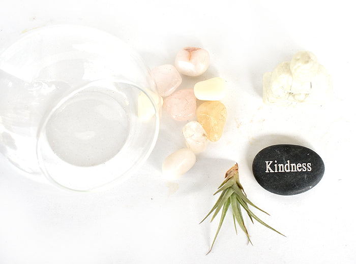 Zen Desk Terrarium - Kindness - Pranachic