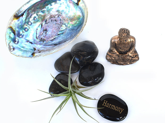 Zen Desk Terrarium - Harmony - Pranachic