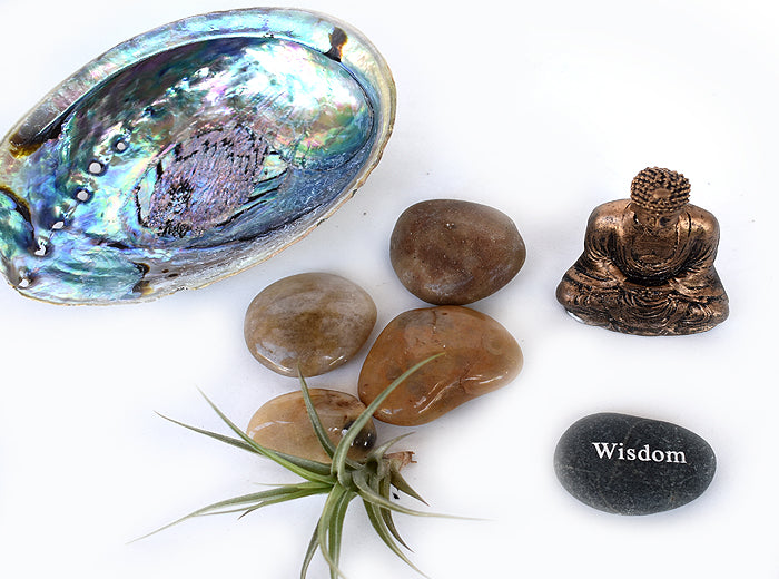 Zen Desk Terrarium - Wisdom - Pranachic