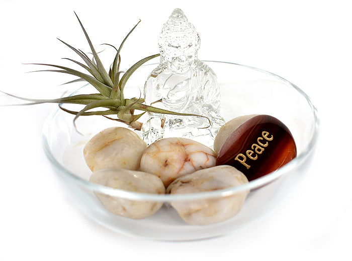 air plant terrarium with crystals Zen Desk Terrarium