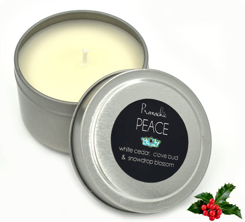 PEACE - NEW Special Seasonal Large Travel Candle