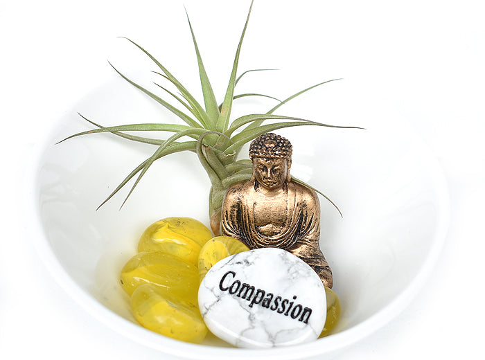 Zen Desk Terrarium - Compassion (white) - Pranachic