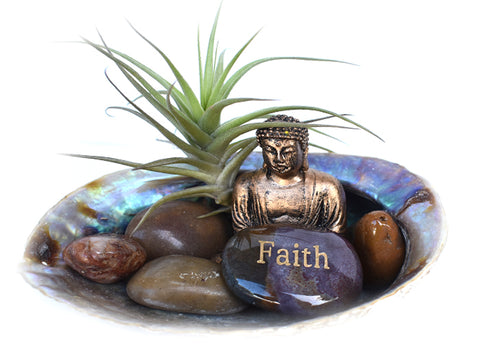 Zen Desk Terrarium - Faith - Pranachic