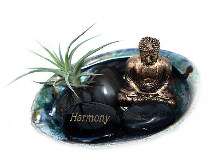 Zen Desk Terrarium - Harmony - Pranachic