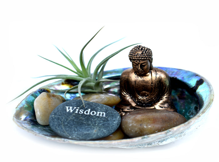 Zen Desk Terrarium - Wisdom - Pranachic